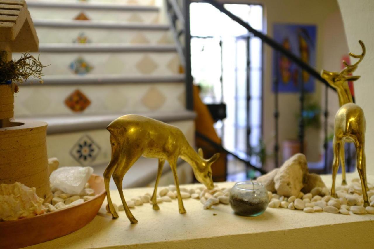 مبيت وإفطار سان ميغيل دي الليندي Pozzito Boutique المظهر الخارجي الصورة